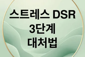 스트레스 DSR 3단계로 효과적인 스트레스 관리하는 방법