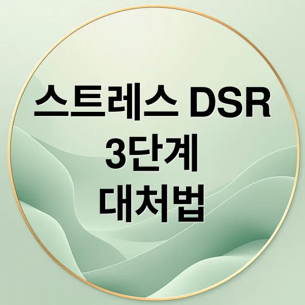 스트레스 DSR 3단계로 효과적인 스트레스 관리하는 방법