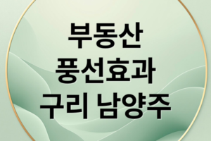 부동산 풍선효과: 서울 강북 규제 피해 구리·남양주로 몰리는 수요와 투자 전략