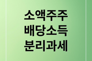 소액주주 배당소득 분리과세 완벽 가이드: 도입 배경부터 실질 혜택 및 투자 전략까지